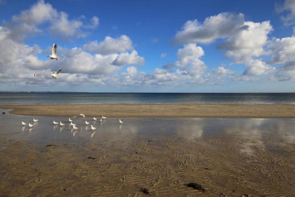Ferienwohnung Strandvilla Augustusbad 17 Scharbeutz Buitenkant foto